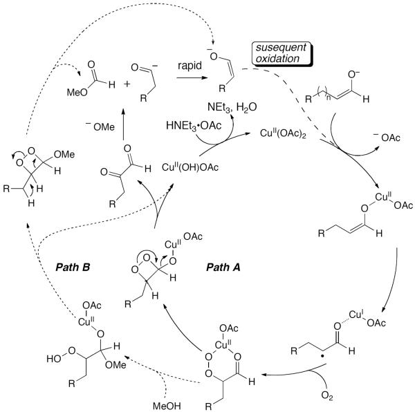 Scheme 296