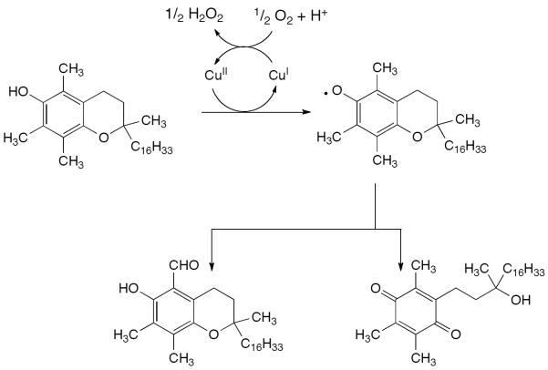 Scheme 485