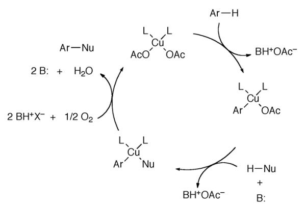 Scheme 153