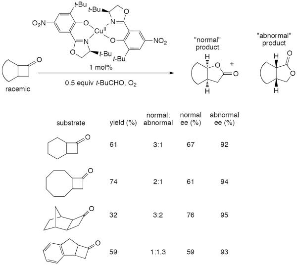 Scheme 305