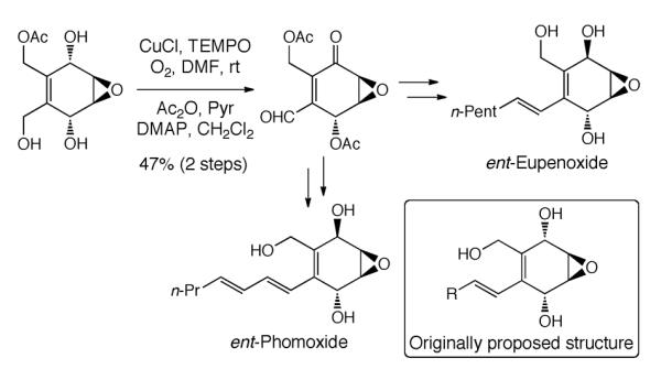 Scheme 231