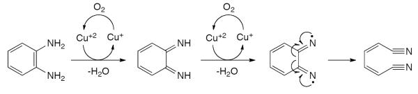 Scheme 542