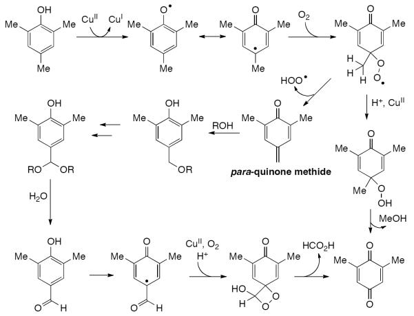 Scheme 482