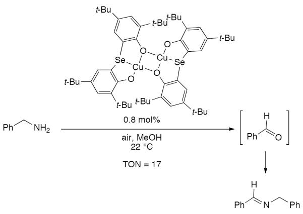 Scheme 565