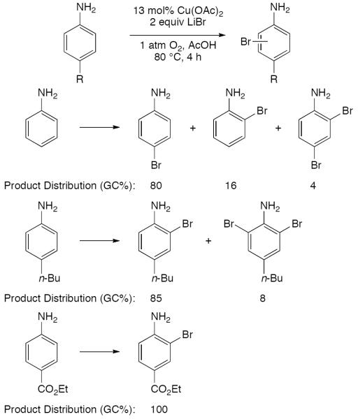 Scheme 538