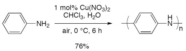 Scheme 519