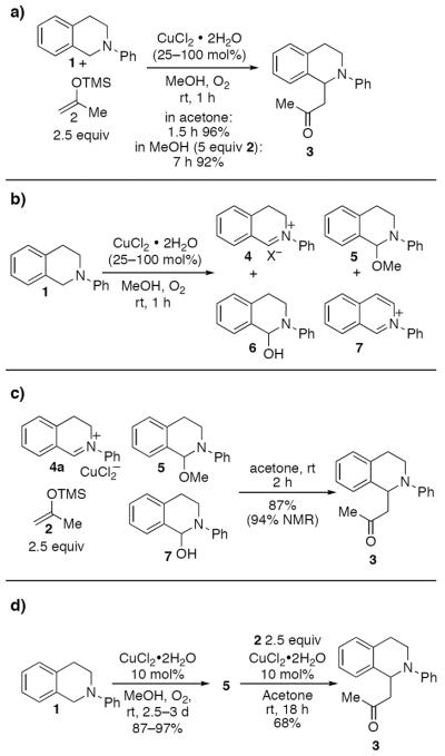 Scheme 556