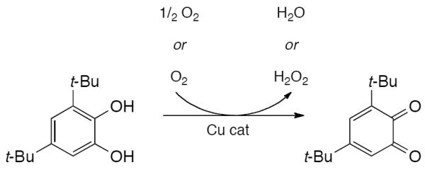 Scheme 451