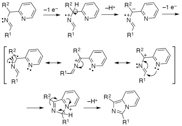 Scheme 586