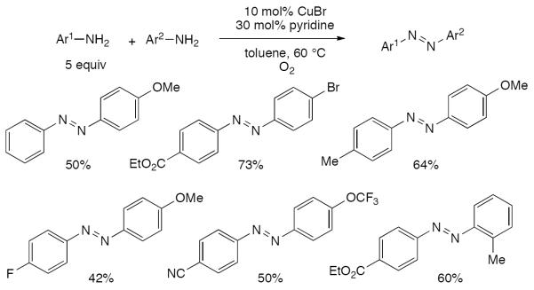 Scheme 509