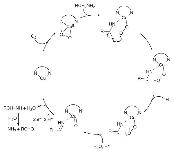 Scheme 568