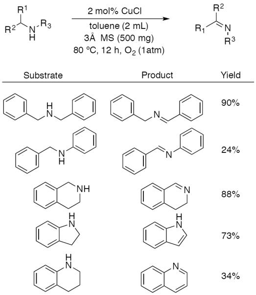 Scheme 559