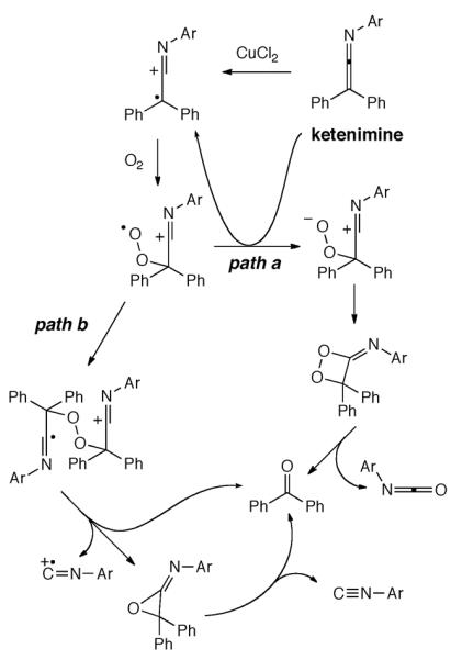 Scheme 324