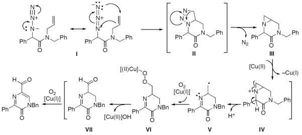 Scheme 620