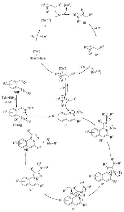 Scheme 582