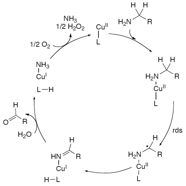 Scheme 566