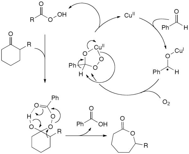 Scheme 303