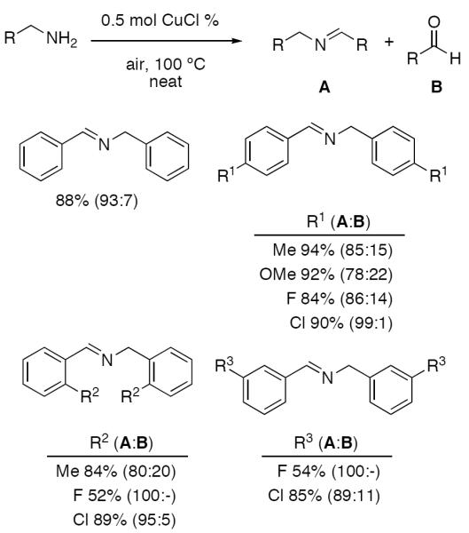 Scheme 569