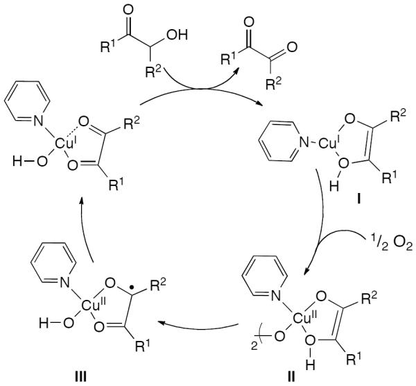 Scheme 245