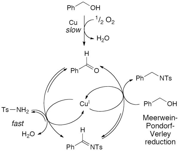 Scheme 264