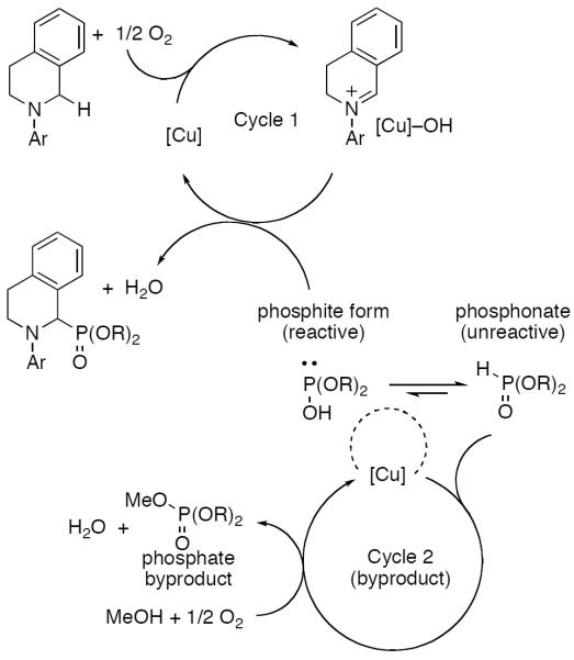 Scheme 553