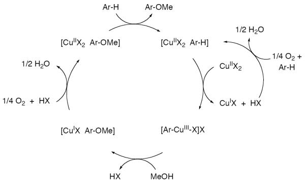 Scheme 124