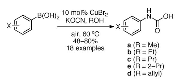 Scheme 170