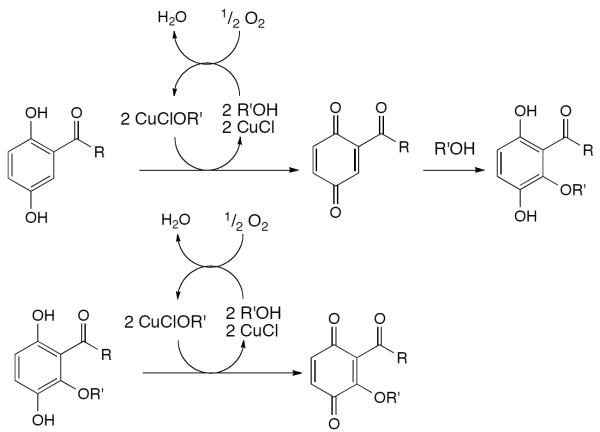 Scheme 466