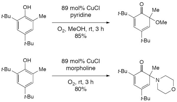 Scheme 492