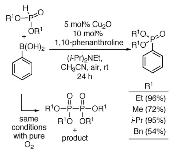 Scheme 209