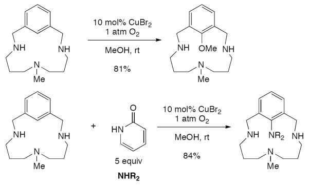 Scheme 123