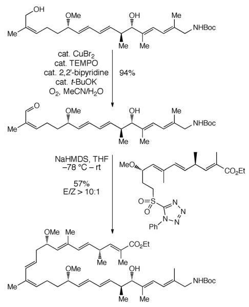 Scheme 237