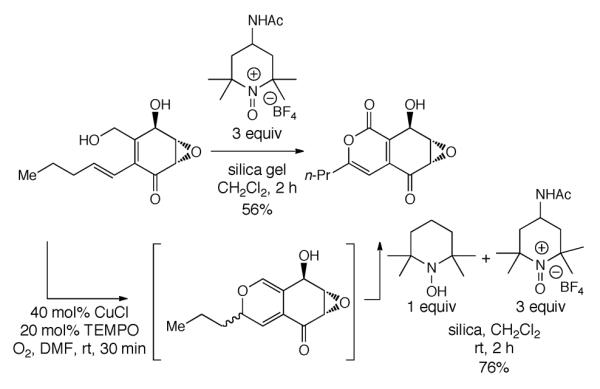 Scheme 229