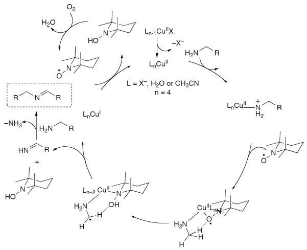 Scheme 572