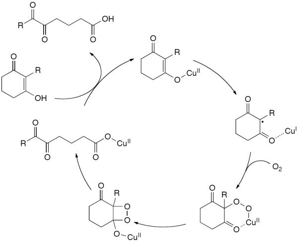 Scheme 286