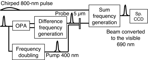 Fig. 2.