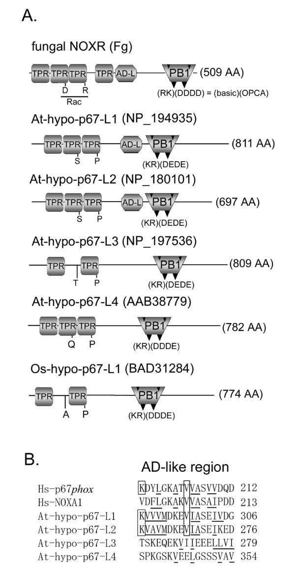 Figure 14