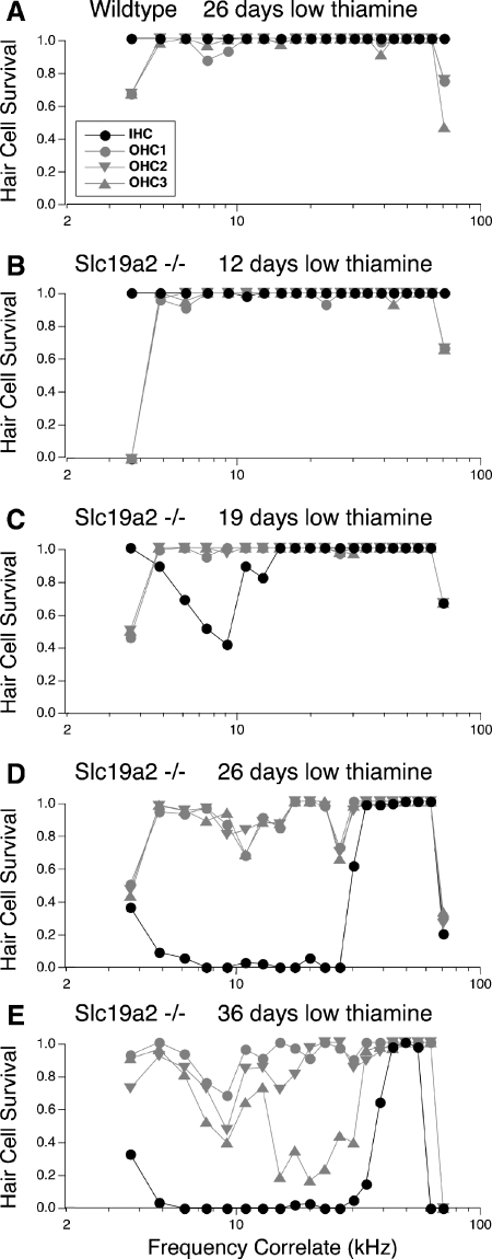 Fig. 6