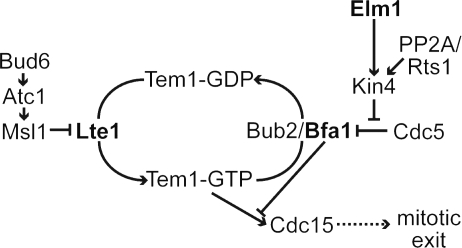 Figure 8.