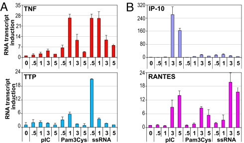 Fig. 8.