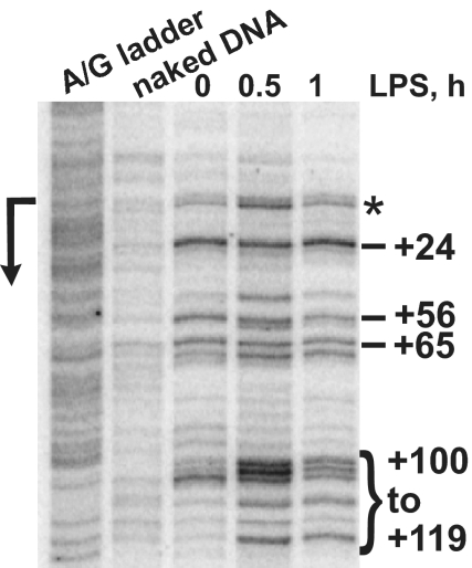 Fig. 5.