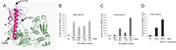 Fig 6