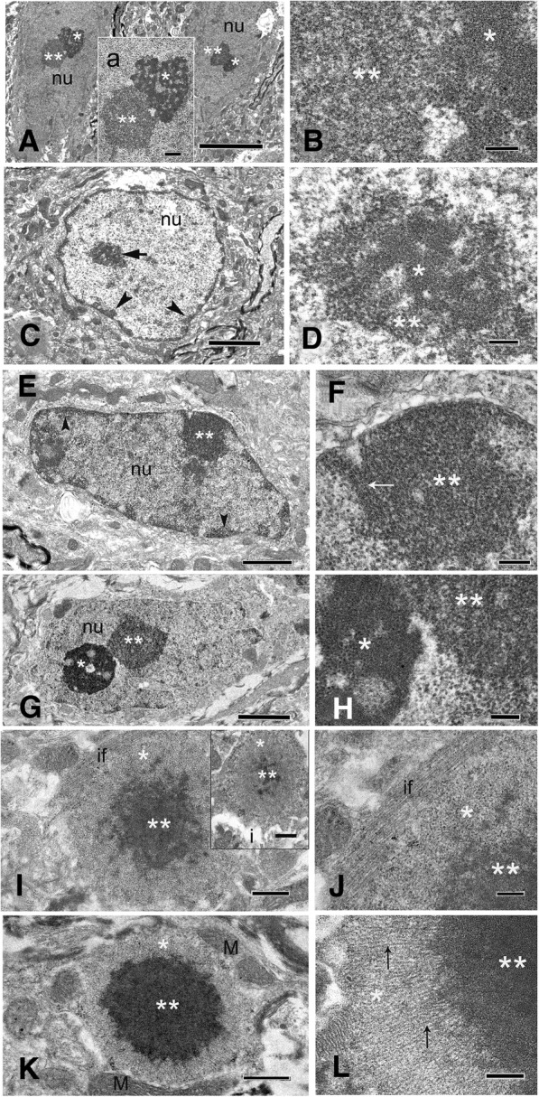 Fig. 11