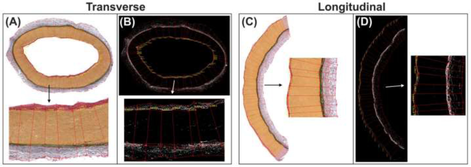 Figure 2: