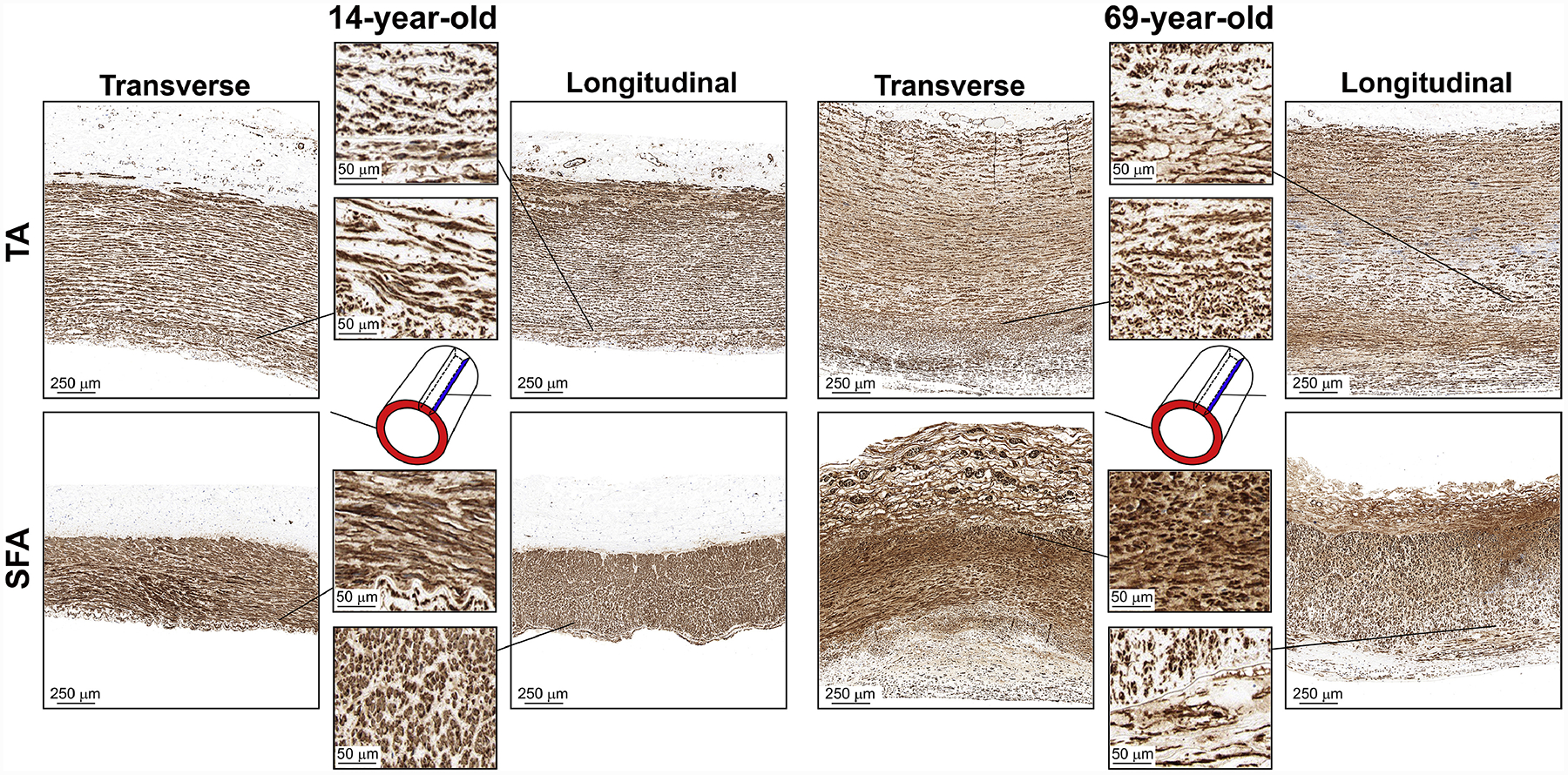 Figure 10: