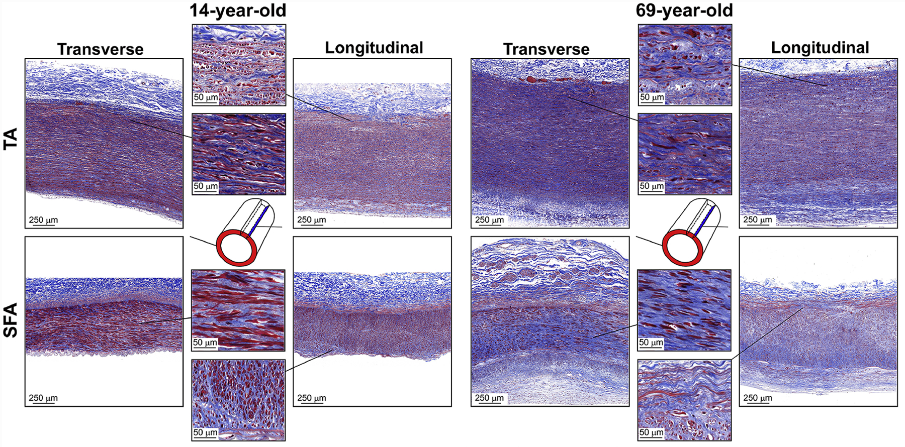 Figure 9: