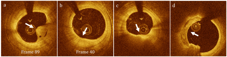 Fig. 1.