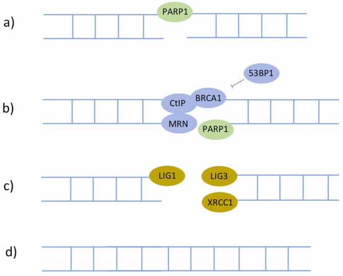 Figure 7.