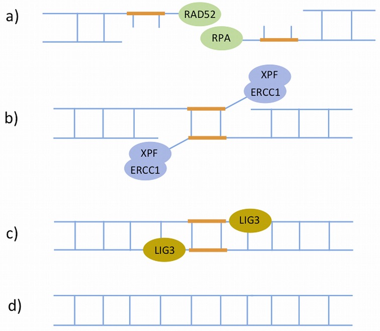 Figure 5.