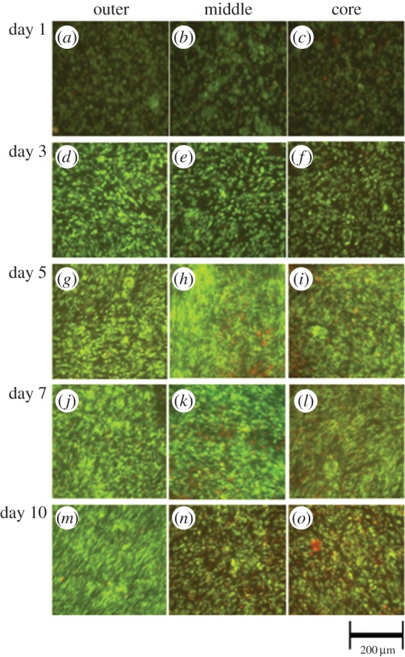 Figure 4.